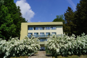 Hotel Chytrov, Volfířov